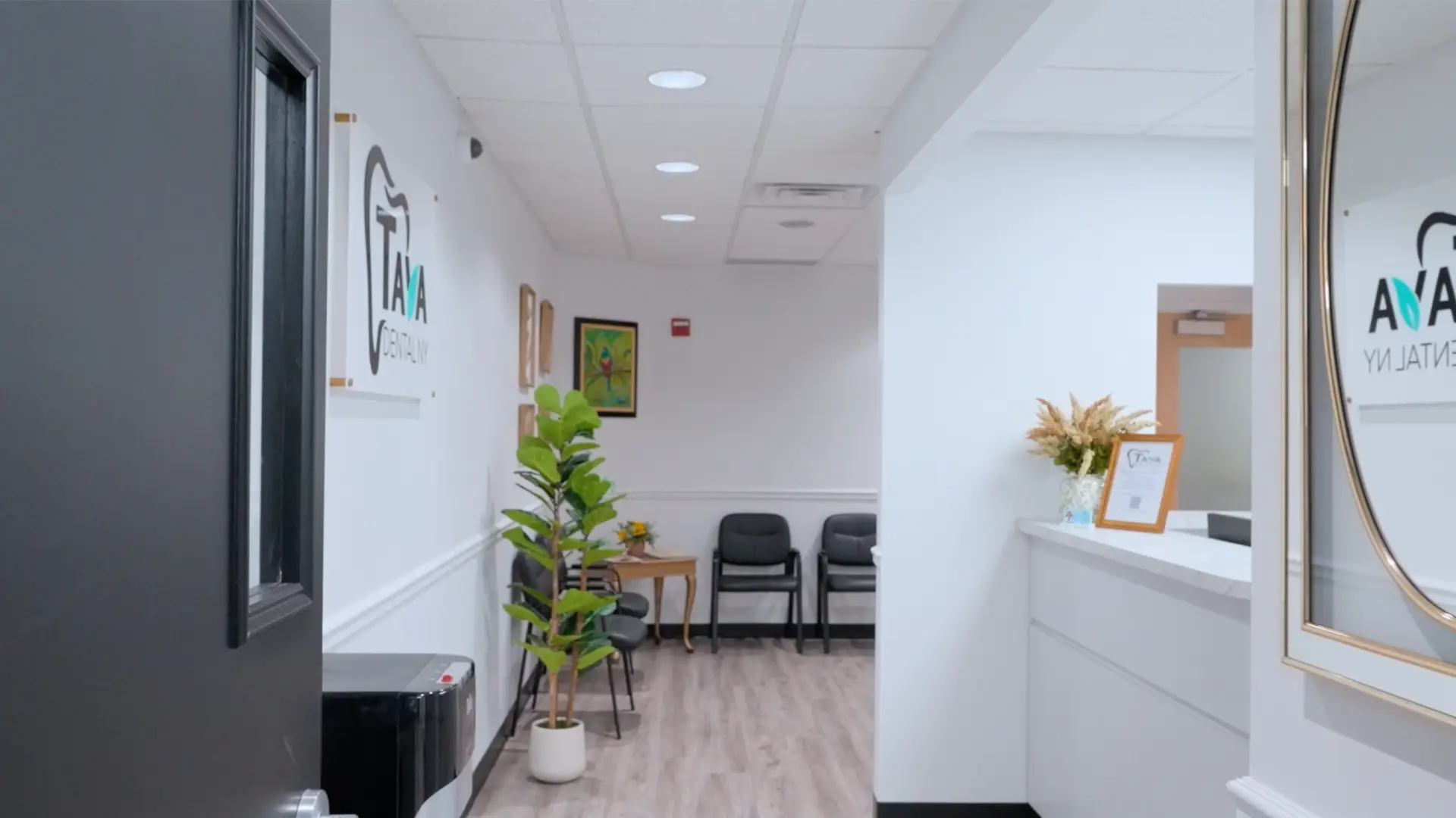 Front office and reception at Tava Dental NY Visit us at Tava Dental NY, 244 Westchester Ave in West Harrison NY